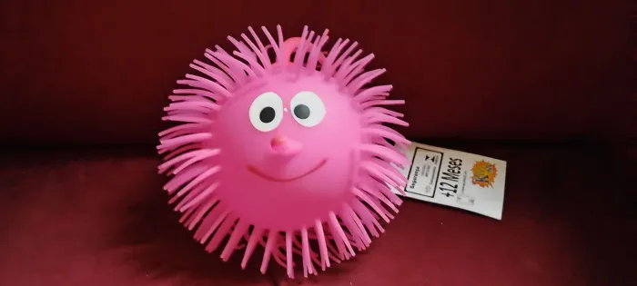 Brinquedo Ouriço de Silicone