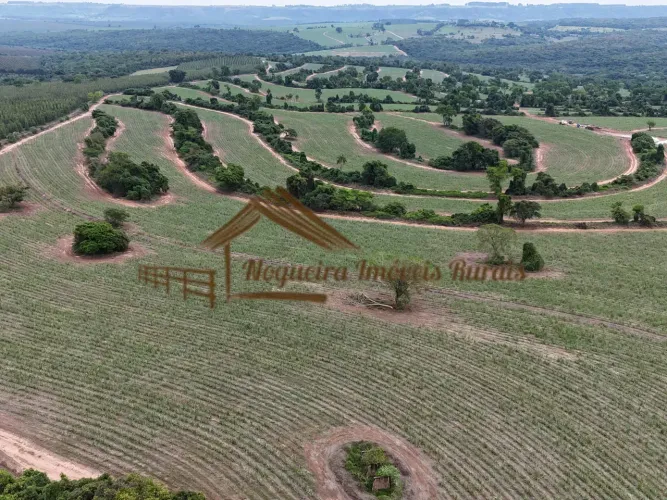 Fazenda a venda com 206 alqueires, plantado cana na região de Brotas-SP
