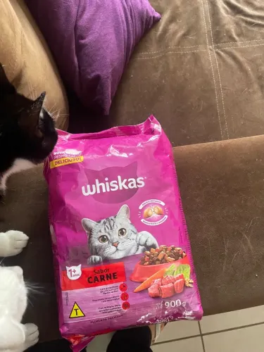 Ração LACRADA para gatos adultos whiskas