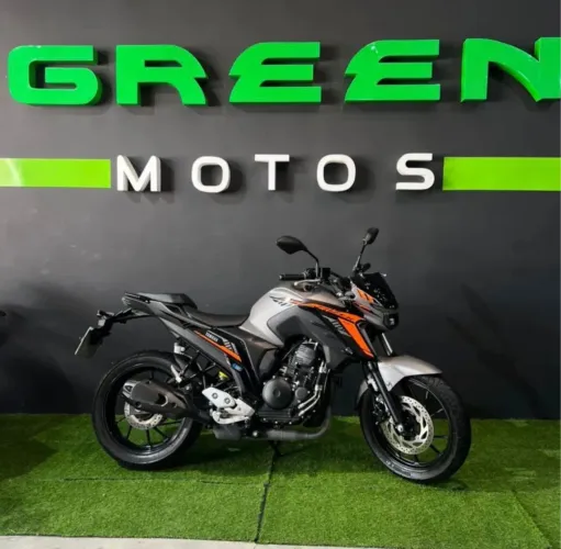 FZ 25(GREEN MOTOS)
