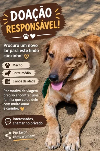 Adoção de cachorro