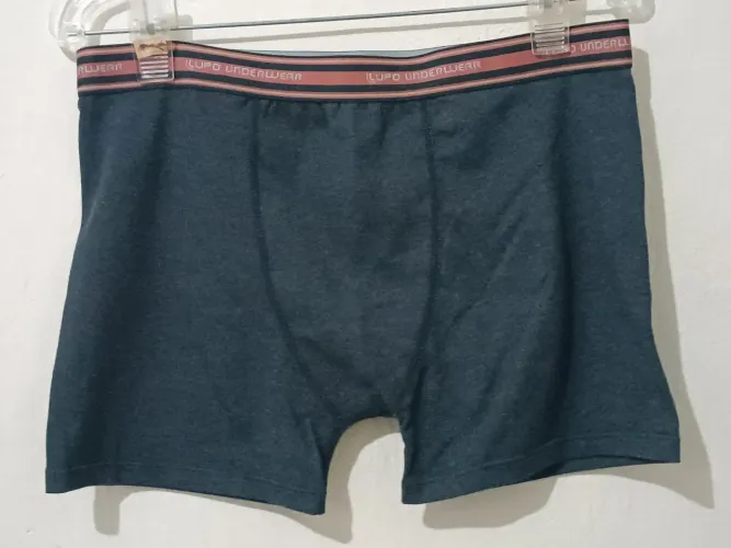Cueca Masculina Boxe Underwear Lupo Sport 
