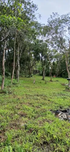 Terreno para Venda em Itanhaém, Regina
