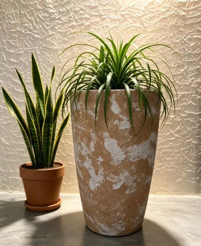 dar vasos 