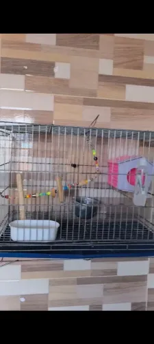 Gaiola completa