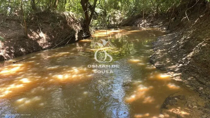 Sítio de 46.500 m² riquíssimo em água próximo a Castelo Branco em Cesário Lange.