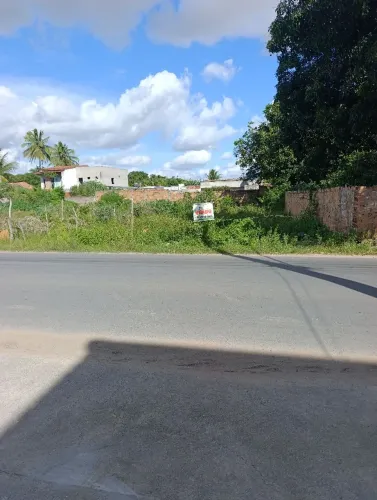 VENDO Terreno Rua Principal do Papagaio!