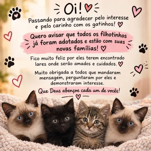 Filhotes procurando um lar responsável