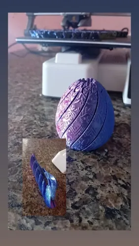 Ovo articulado
