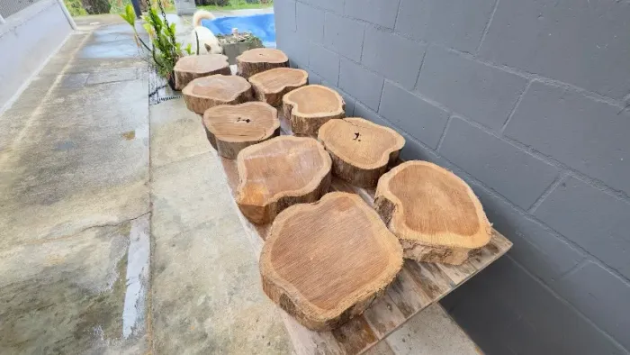 Lote 10 Bolachas de Madeira Teca - 10cm Espessura - 40cm Diâmetro