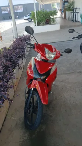 Vendo motinha