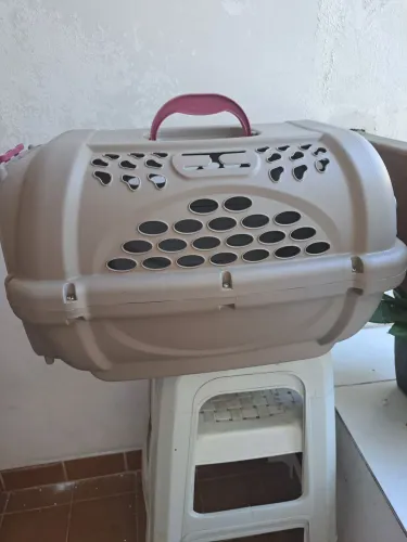 Casinha de pet para viagem
