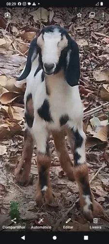 Contrato trabalhador rural