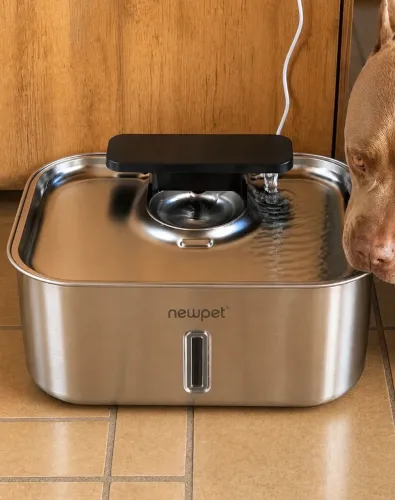 Stainless steel pet water dispenser