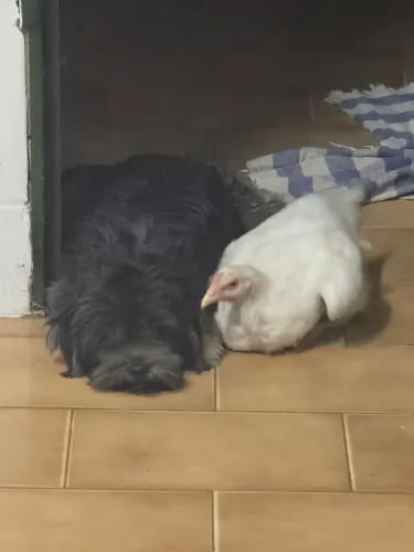 Doação