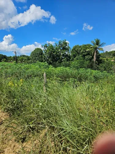Fazenda agricutura e pecuária