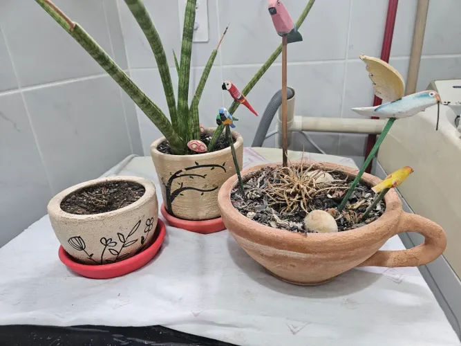 Jarro / Vasos para Plantas e itens de jardinagem