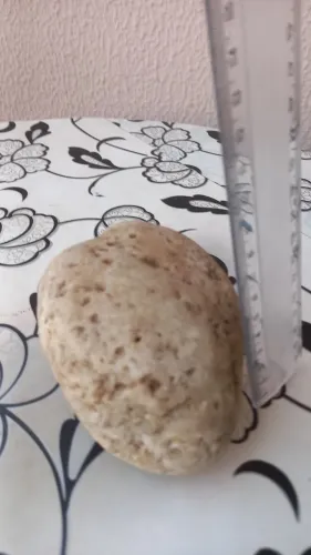 Pedra decoração para aquario.