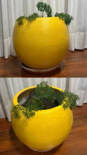 Vaso de barro e cerâmica com prato de cerâmica, tamanho GG já com adubo e a Árvore da Feli