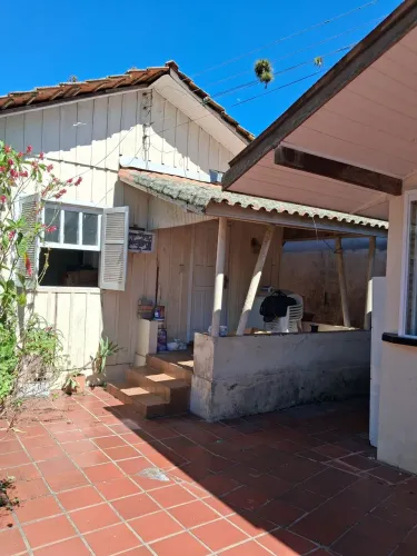 Vendo madeira de lei rosa