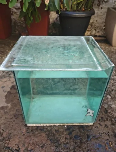 Aquário e objetos de aquário