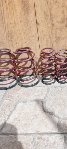 Molas esportivas 