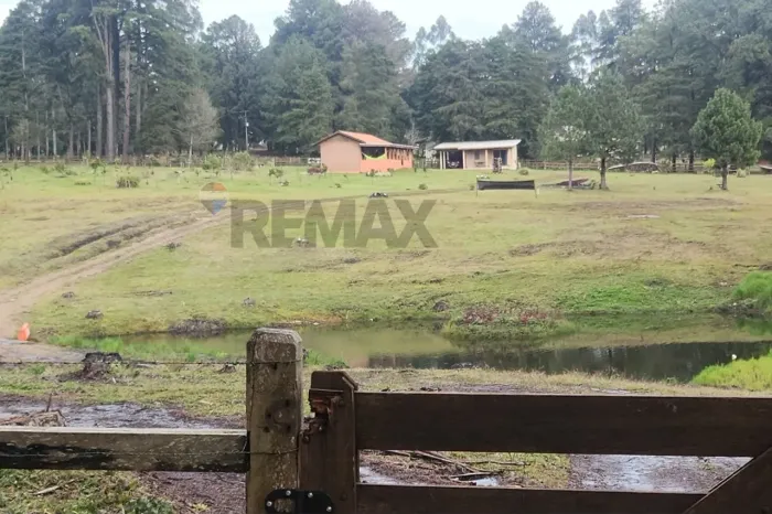 CHÁCARA PARQUE SÄO LUIZ DO PURUNÄ, BALSA NOVA - PR