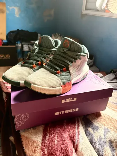 Lebron Witness 7 (43)