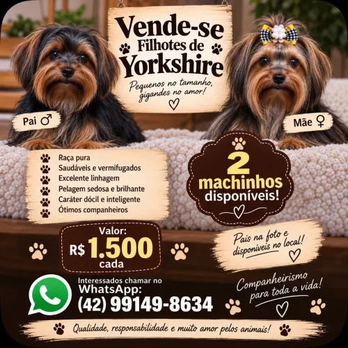 Yorkshire 