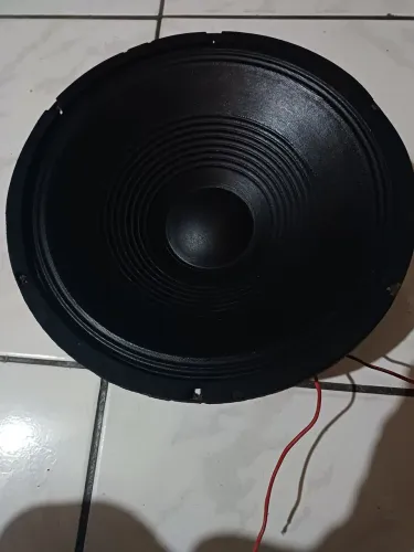 Woofer 600 watts leia todo o anúncio antes de entrar em contato 