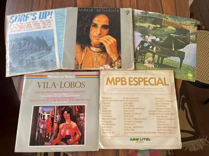 Combo de Discos de Vinil P/ Colecionadores
