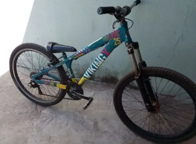 Bike Vikingx 