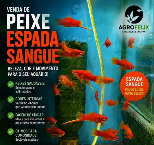 Espada sangue