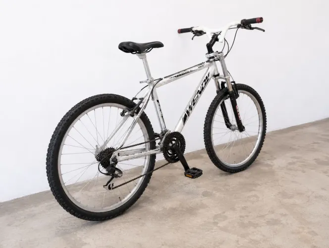Bicicleta Bike Wendy