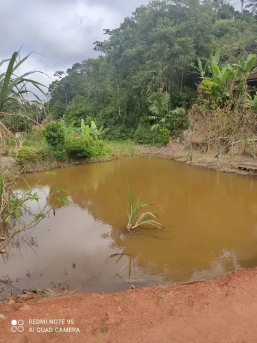 com muita água 10.000m² Rio Claro, apenas 300 metros do asfalto em Santa Maria de Jetibá E