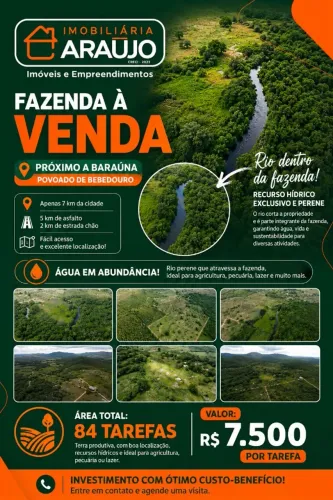 VENDE-SE | (VALOR POR TAREFA) FAZENDA COM 84 TAREFAS - SENHOR DO BONFIM/BA