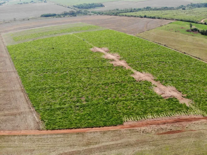 Lote rural a venda 20.000m²