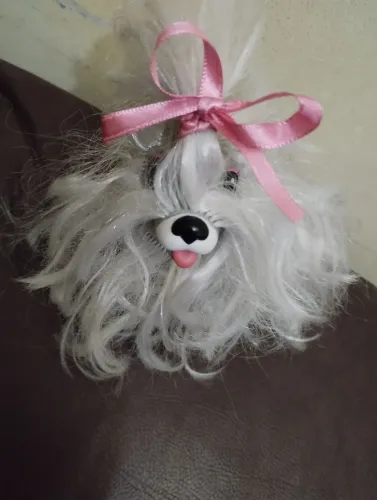 Antigo Cãozinho da Estrela.