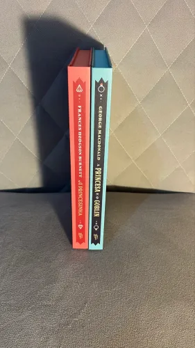 Livros A Princesa e o Goblin e Princesinha Editora Wish