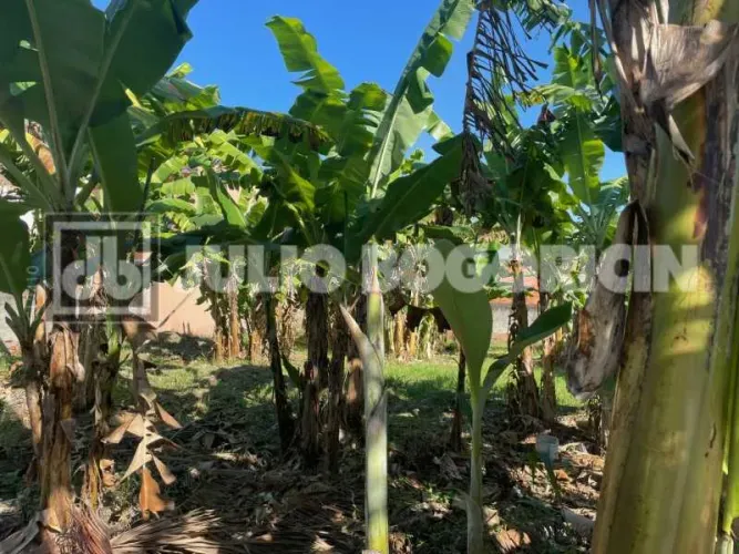Condomínio Bosque dos Esquilos - Anil - Jacarepaguá - Terreno unifamiliar - 600 m² - infra