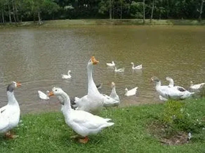 Terreno à venda em Cotia, Colonial Village (Caucaia do Alto), com 1000 m², Colonial Villag