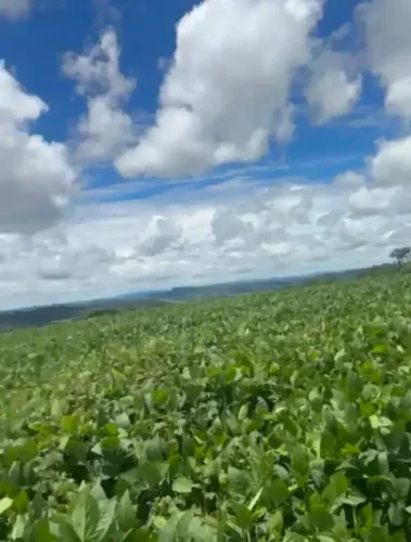 Fazenda a venda, em Itapuranga - Goiás!!!