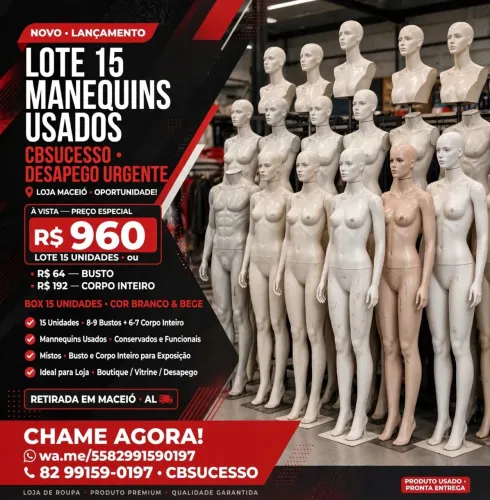 Lote 15 Manequins Usados - R$960 o Lote - R$64 Busto R$192 Corpo - Maceió