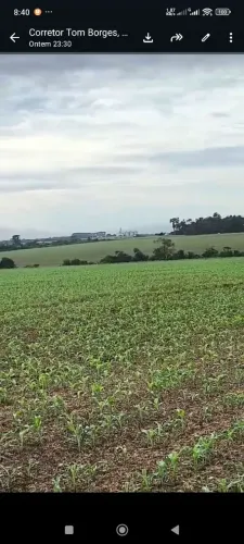 Fazenda de arrendamento Soja 7.000 hec em Sinop, plantando MT. Sentido Juara MT.