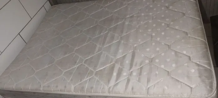 Cama