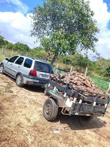Fiat Palio Week. Adv/adv Tryon 1.8 MPI Flex 2006