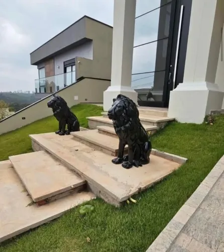 Leão sentado majestoso