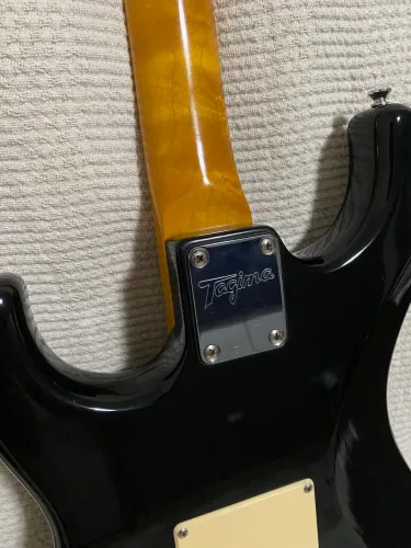 Guitarra Tagima - TG-530 blindada