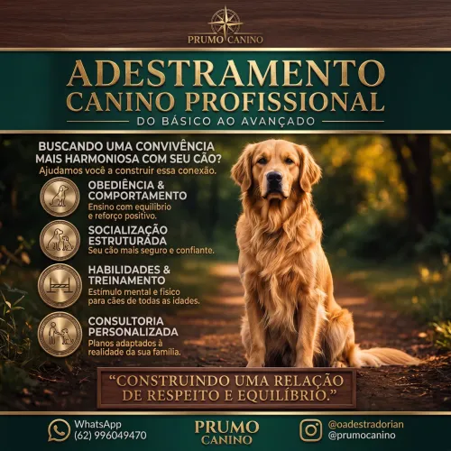 Adestramento Canino Profissional | Obediência e Correção Comportamental