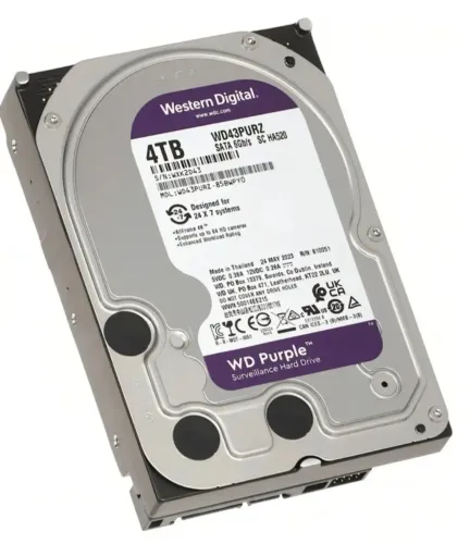 HD 4TB Purple